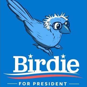 Birdie Sanders!